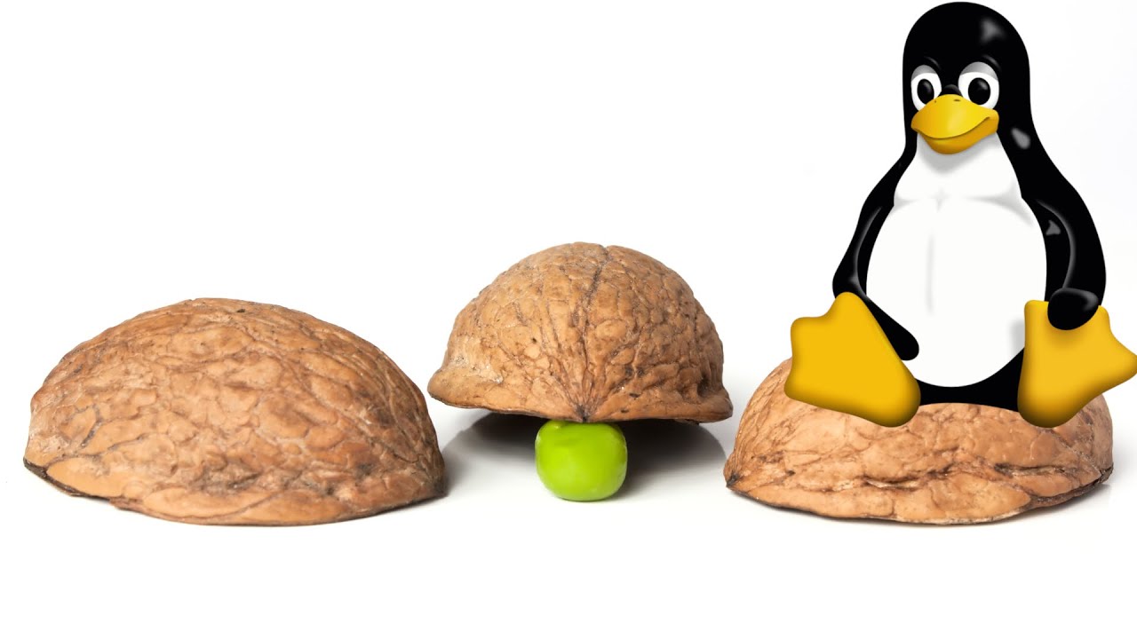 Shell Tricks to Save Time in Linux