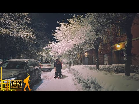 Helsinki, Finland 🌟 4 Beautiful Snowscapes in Winter