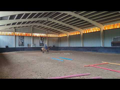 Quarter Pony Germany Merlin DD Gunners Trail Jun 2023