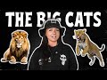 The Big Cats (That We Know Of) | History of Cats Episode 4 | Lindsay Nikole