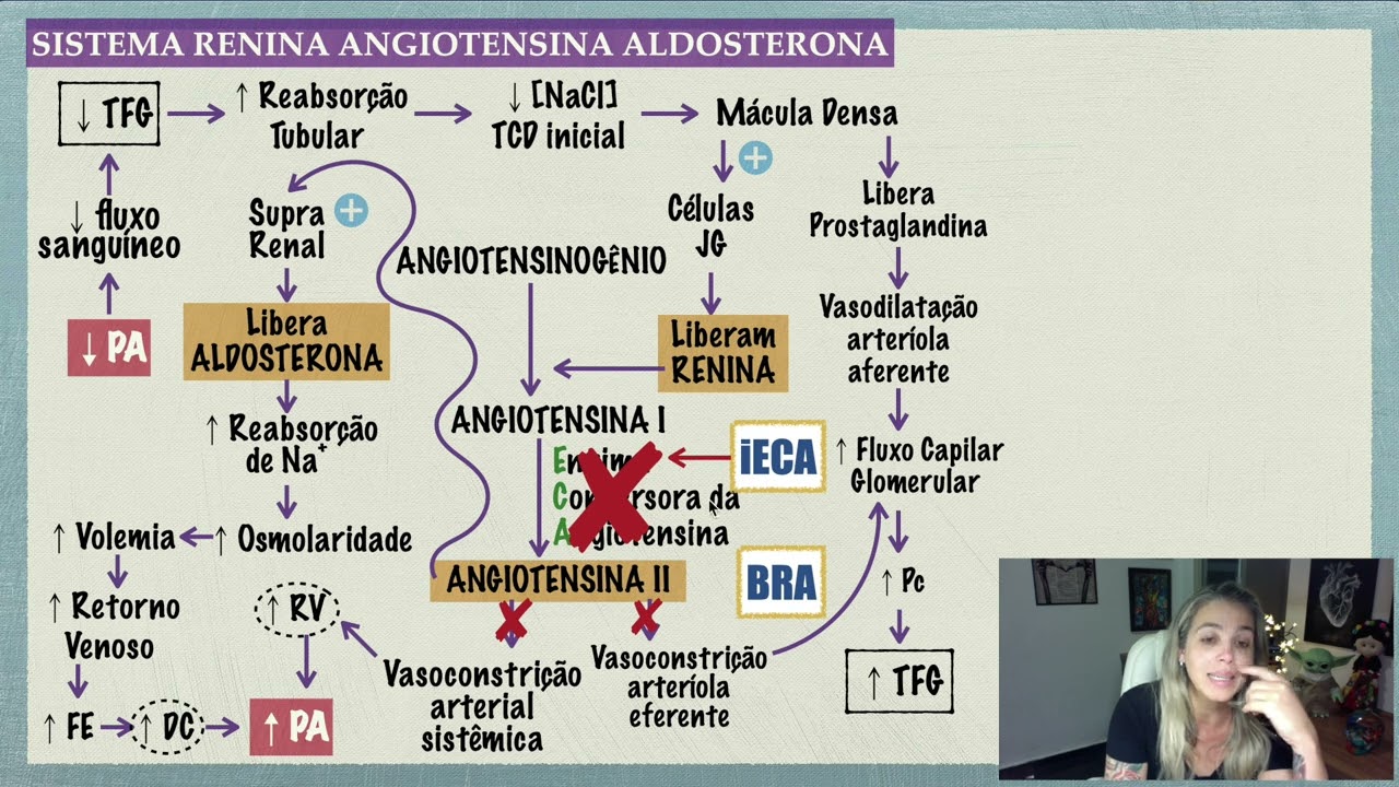 Antihipertensivos: iECA e BRA