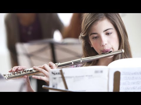 download lagu mp3 mp4 Bird Flute Ringtone Mp3 Download, download lagu Bird Flute Ringtone Mp3 Download gratis, unduh video klip Bird Flute Ringtone Mp3 Download