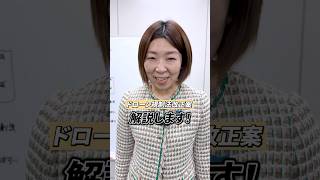 【閣法解説】ドローン規制法改正案 #堂込麻紀子 #国民民主党