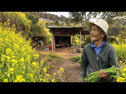 Crazy 87-Year-Old Grandpa Quits The City — His vegetable startup failed: Now he has nothing.