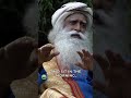 Why Do People Turn To Drugs Alcohol Sadhguru