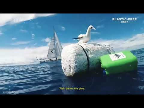 Earth is dying | Risha Foundation