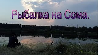 Рыболов ловля сома на донку
