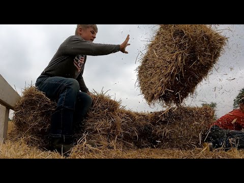 Super powers required