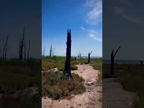 Miramar de ANSENUZA Córdoba