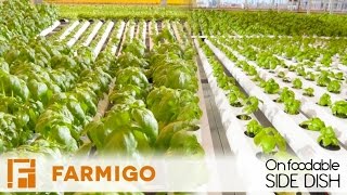Online Farmers Market | Farmigo | Gotham Greens