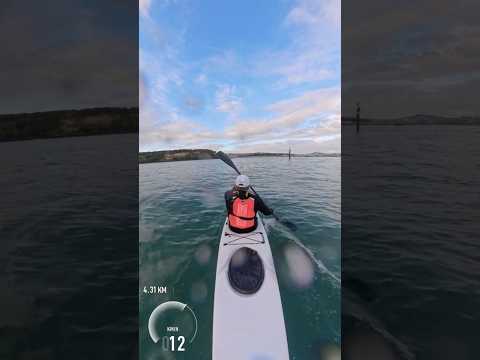 Boat wave fun #surfski #waves #kayaker #newzealand