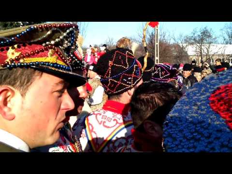 Mascati Petricani Neamt 2014