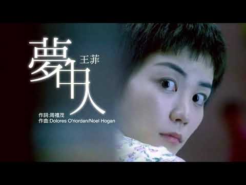 夢中人意思