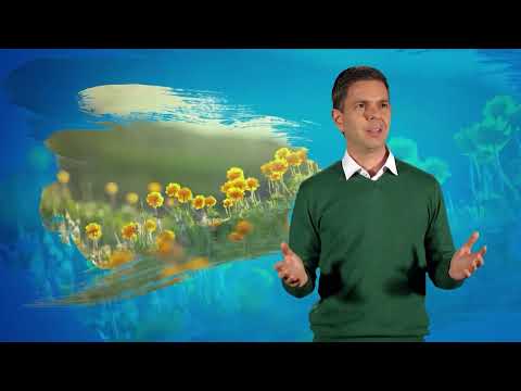 Capitulo 1:  Introducción al Camino del Corazón