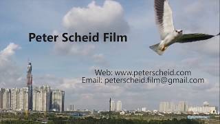 SHOWREEL VIETNAM HCMC - Peter Scheid Film/Video Production/Director&Cameraman/Aerial Showreel