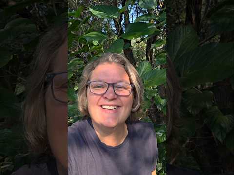 Unearthing Wonders: The Chaos Garden Approach