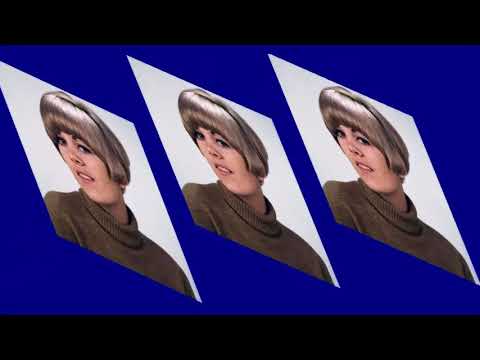 Video thumbnail for Le biciclette bianche
