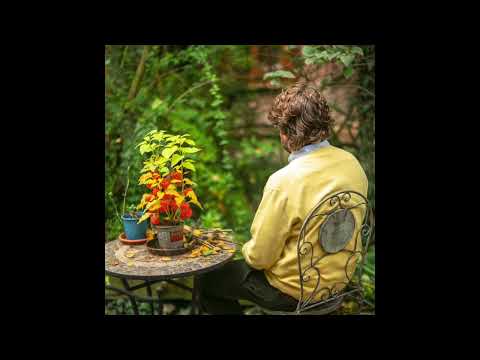 Lauer - Make It Stay feat. Dena (Boris Dlugosch Remix)