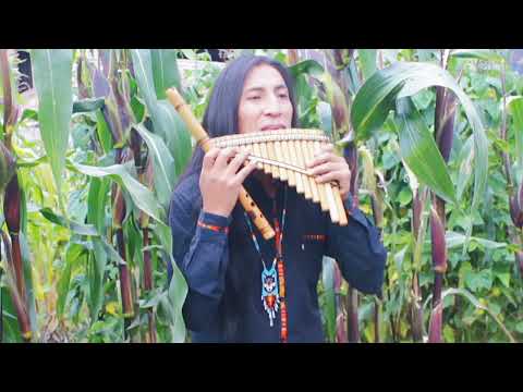 Inkas Wambras (Inca Sol) instrumental