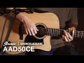 Ibanez Advanced Acoustic AAD50CE