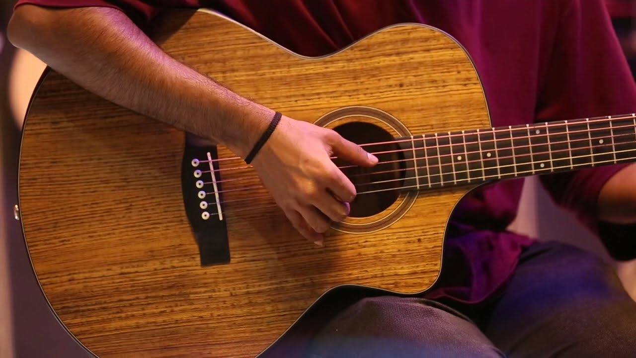 Tayste TS-35 Guitar | Review | Price in BD | Best Guitar in 2022