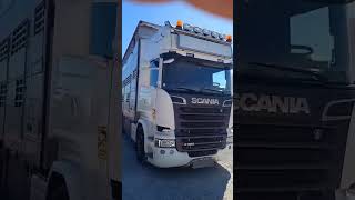 Scania R580  cami&oacute;n para transporte de ganado + remolque para transporte de ganado | Imagen 5 - Autoline