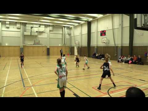 BT1div TikS-HNMKY 1.4.2017 III ja IV