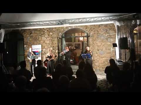 Somewhere over the rainbow - Hyperion Orchestra and Manca Cerar