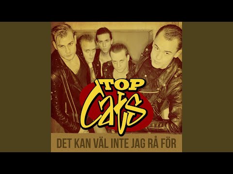 Det Kan Väl Inte Jag Rå För - Top Cats