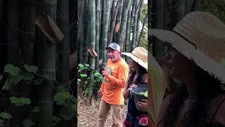 Download lagu Mari kita dengarkan suara bambu mp3