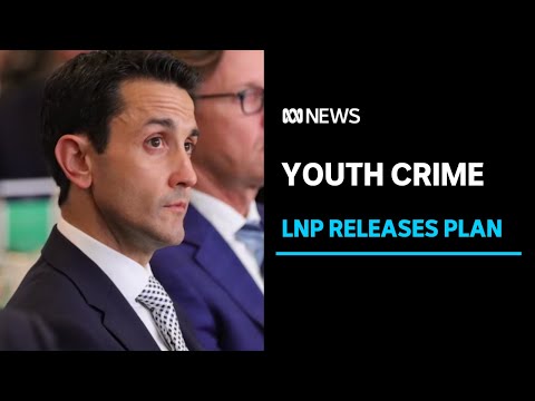 Queensland opposition reveals plans to tackle youth crime | ABC News