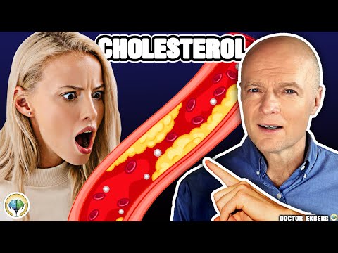 Your Doctor Is Wrong About Cholesterol
