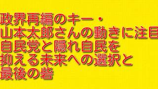 【政界再編のキー・山本太郎さんの動きに注目】自民党と隠れ自民を抑える未来への選択と最後の砦