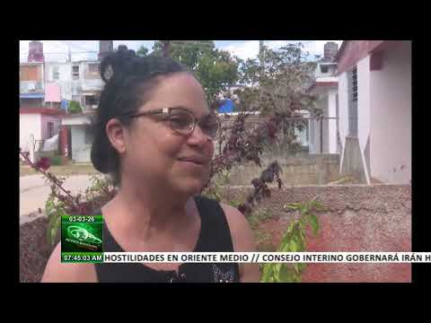 Compromiso y amor: la misión de Nuria Ramírez por el bienestar animal