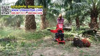 เครื่องย่อยทางปาล์ม  เครื่องย่อยอเนกประสงค์ M1 Briggs USA 6.5HP 085-087-1111  อมรอิเล็คทริค