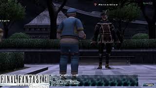 【FF11】初見の冒険記：限界突破の様子【Odin鯖】#ブルーとFF11