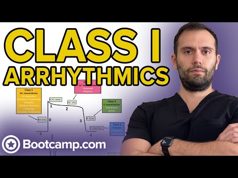 Class I Antiarrhythmics | HIGH-YIELD CARDIOLOGY | USMLE STEP 1