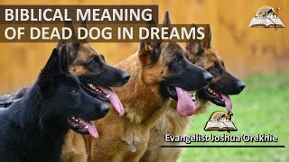 Biblical Meaning of DEAD DOGS in Dream - Dead Dog Spiritual Meaning