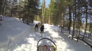 preview picture of video 'Dog Sledding in Haliburton with the GoPro Hero3'
