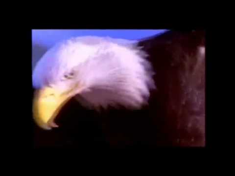 POPUT ORLA ŠTO BDI NAD GNIJEZDOM (As The Eagle Stirs Her Nest) - Brat W.M.Branham