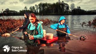 preview picture of video 'Publicité du Cégep de Baie-Comeau 2013-14'