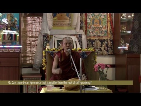 Q&A - Is there an ignorance subtler than self-grasping?