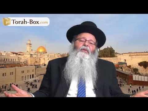 Michpatim - Le Beth Hamikdach en balade (Rav Eliahou UZAN)