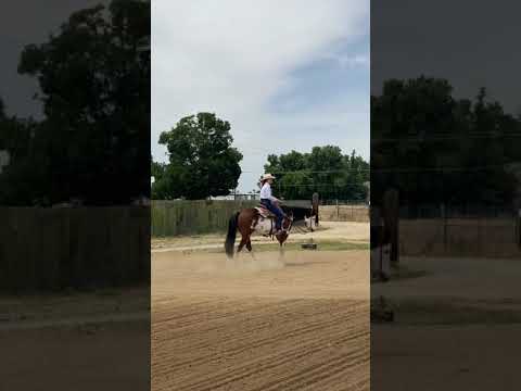 Kali McCormick & “A Little Bit Real” Ranch Rail First-Timers