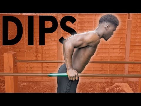 Dip Tutorial For Beginners | WITH PROGRESSIONS