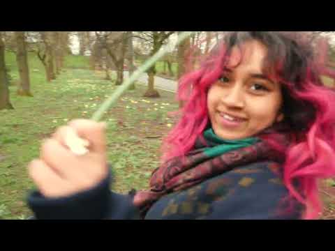 YouTube video preview