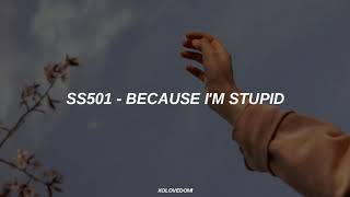 SS501 - Because I'm Stupid // Sub Español