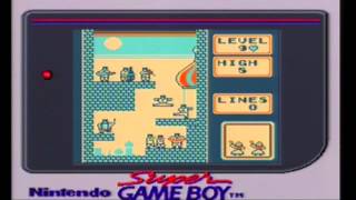 Gameboy Tetris - Hardest Level (B-Type: Heart level 19 high 5)