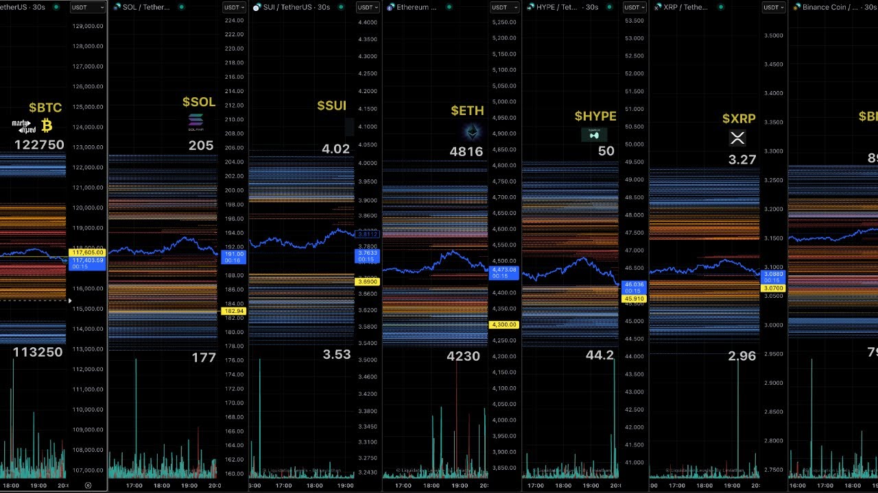 MartyParty Liquidation Levels Live Chart
