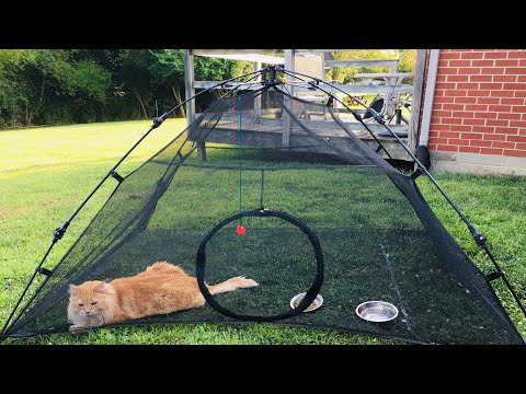 BEST TENT FOR CAT || YOUR INDOOR CAT WILL ENJOY OUTSIDE || BEST BUY FROM CHEWY. COM